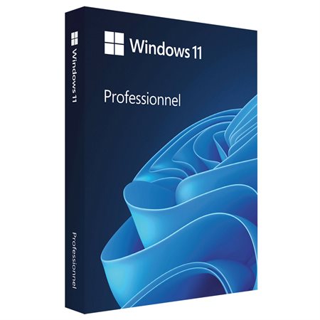 Windows 11 Professional OEM